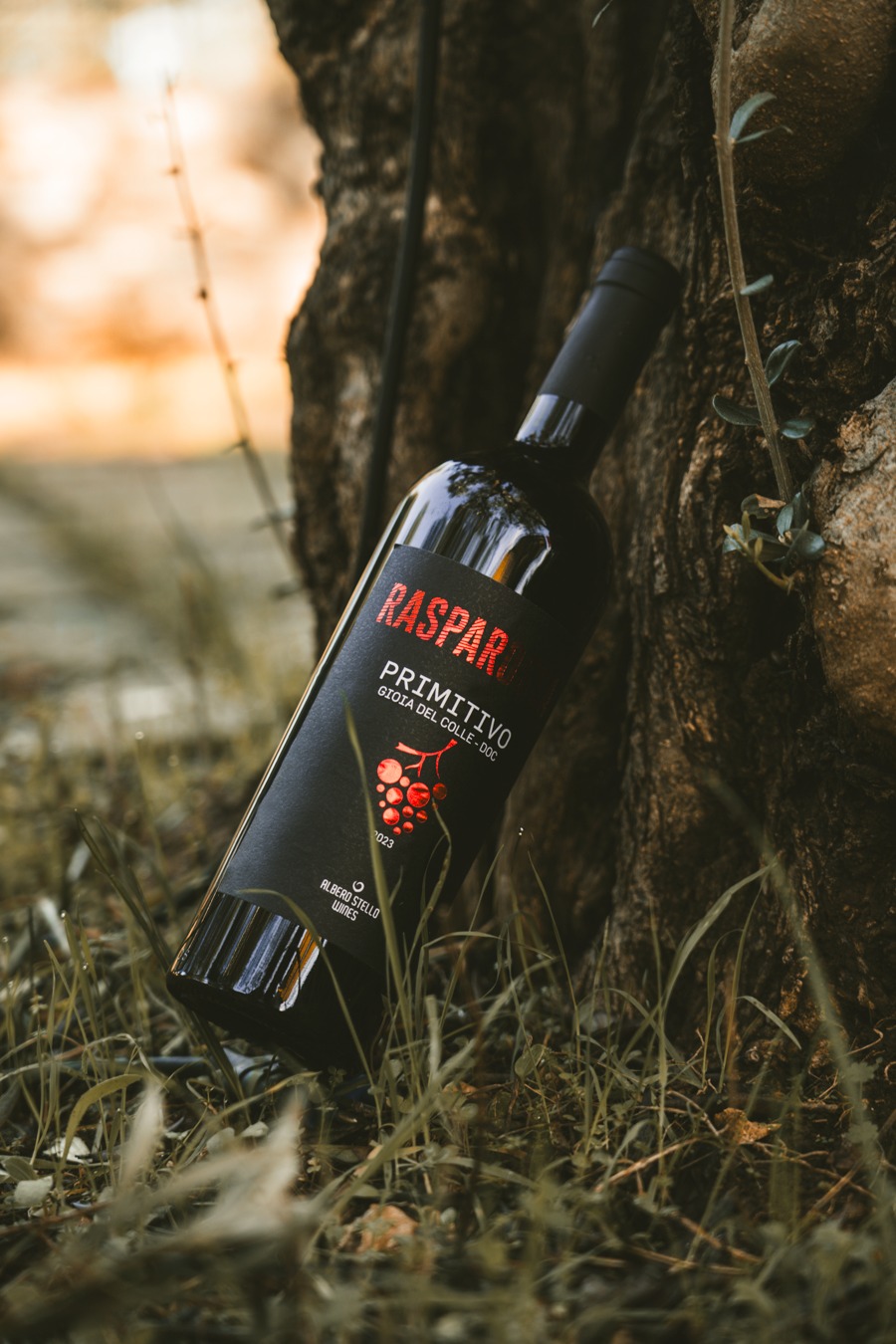 Rasparossa Primitivo Gioia del Colle DOC Rasparossa Primitivo Gioia del Colle DOC