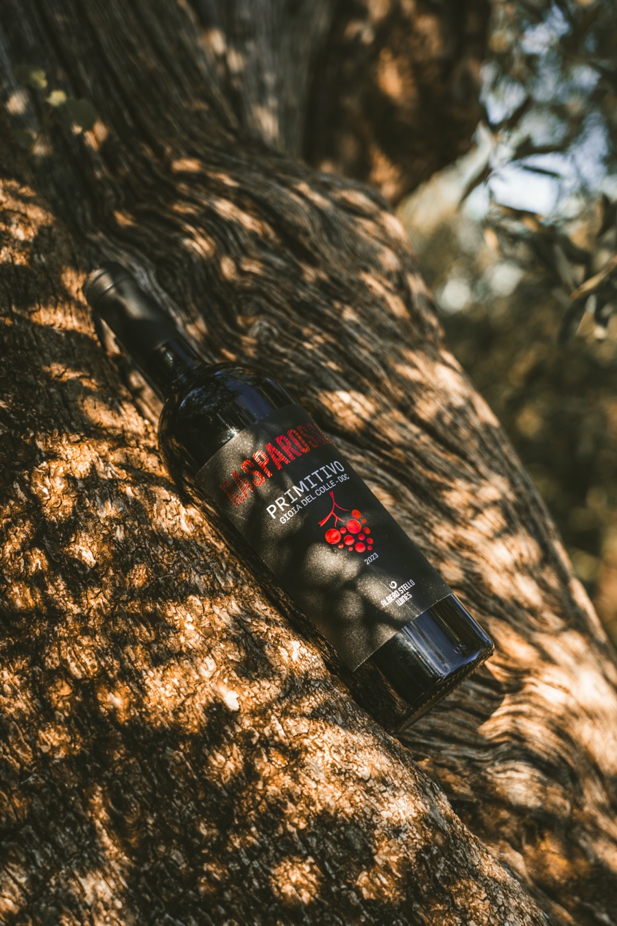 Rasparossa Primitivo Gioia del Colle DOC Rasparossa Primitivo Gioia del Colle DOC