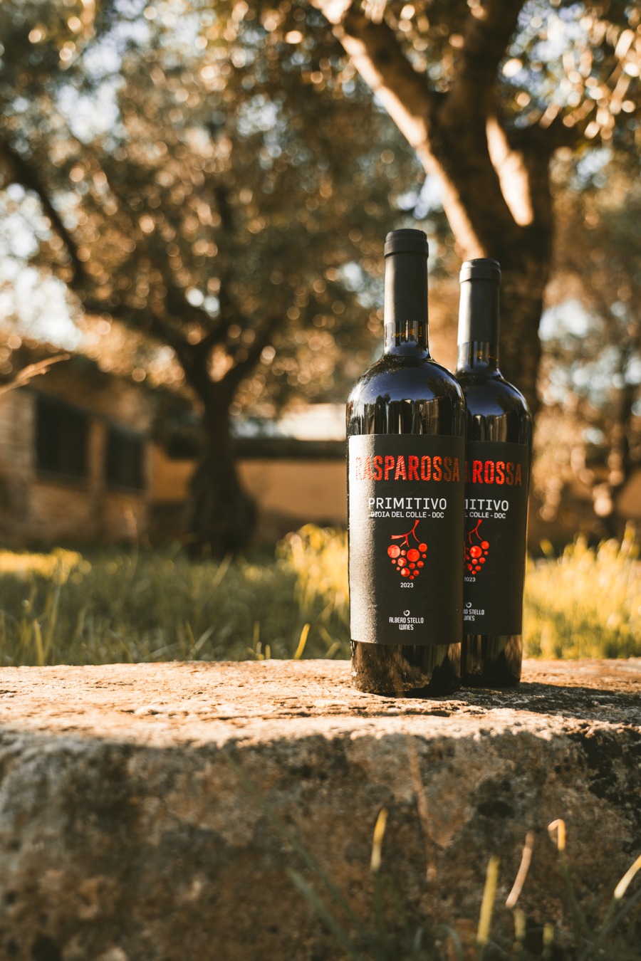 Rasparossa Primitivo Gioia del Colle DOC Rasparossa Primitivo Gioia del Colle DOC